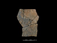 藏品(陶片)的圖片