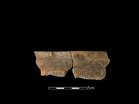 藏品(陶罐)的圖片