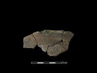 藏品(陶罐)的圖片