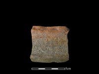 藏品(陶罐)的圖片