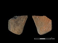 藏品(陶片)的圖片