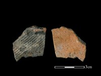 藏品(陶片)的圖片