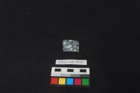 藏品(瓷片)的圖片