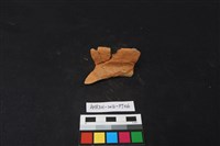 藏品(陶片)的圖片