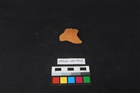 藏品(陶片)的圖片