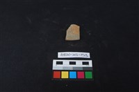 藏品(陶片)的圖片