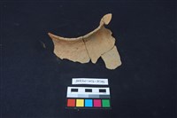 藏品(陶片)的圖片