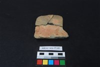 藏品(陶片)的圖片