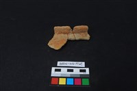 藏品(陶片)的圖片