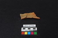 藏品(陶片)的圖片