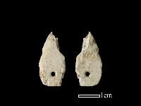 藏品(矛鏃形器)的圖片