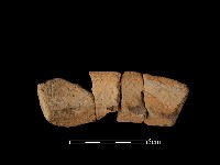 藏品(陶罐)的圖片