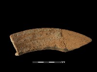 藏品(陶罐)的圖片