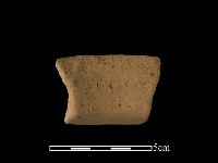 藏品(陶罐)的圖片