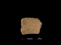 藏品(陶罐)的圖片