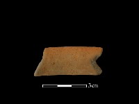 藏品(陶片)的圖片