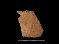 藏品(陶片)的圖片