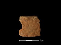 藏品(陶片)的圖片