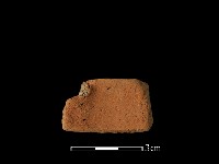 藏品(陶片)的圖片