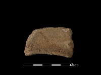 藏品(連杯形器)的圖片