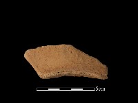 藏品(豆形器)的圖片