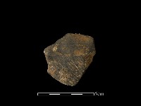 藏品(陶片)的圖片