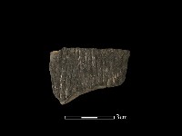 藏品(陶片)的圖片