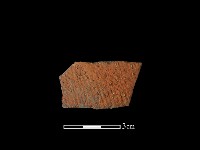 藏品(陶片)的圖片