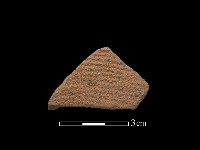 藏品(陶片)的圖片