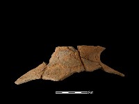 藏品(陶罐)的圖片