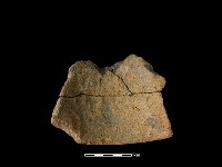 藏品(陶片)的圖片