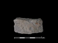 藏品(陶片)的圖片