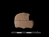 藏品(陶片)的圖片