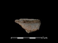 藏品(陶片)的圖片