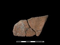 藏品(陶片)的圖片