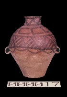 藏品(彩陶雙耳壺)的圖片