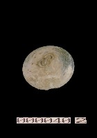 藏品(博山型綠釉陶奩)的圖片