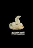 藏品(蛇俑)的圖片