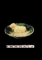 藏品(動物盤)的圖片