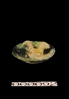 藏品(動物盤)的圖片