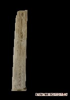 藏品(畫像磚-人物像)的圖片