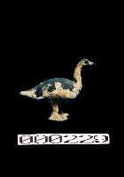 藏品(灰陶雁)的圖片