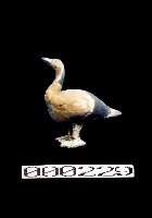 藏品(灰陶雁)的圖片