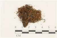 藏品(No.860335)的圖片