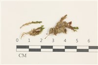 藏品(No.860335)的圖片