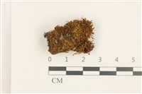 藏品(No.860335)的圖片