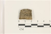 藏品(黑扭口蘚)的圖片