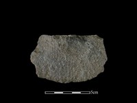 藏品(石片器)的圖片