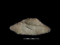 藏品(石片器)的圖片