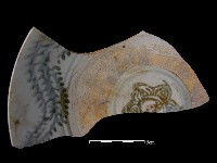 藏品(瓷盤)的圖片